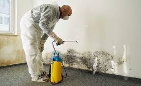 Mold Remediation for Vacation Homes in Poulsbo, WA